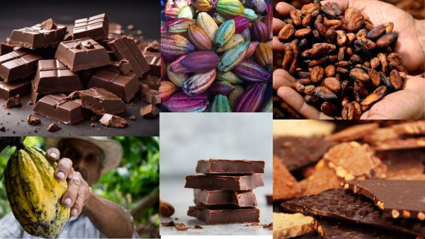 Como é Feito o Chocolate: A Magia Por Trás de Cada Mordida